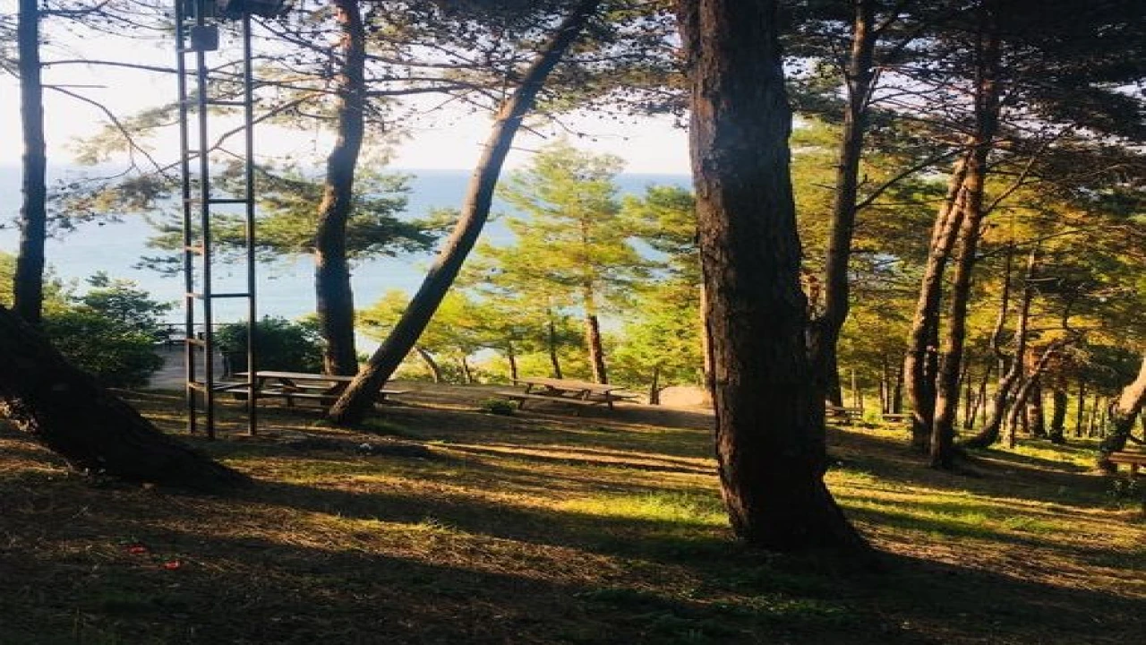Şile Serintepe Park